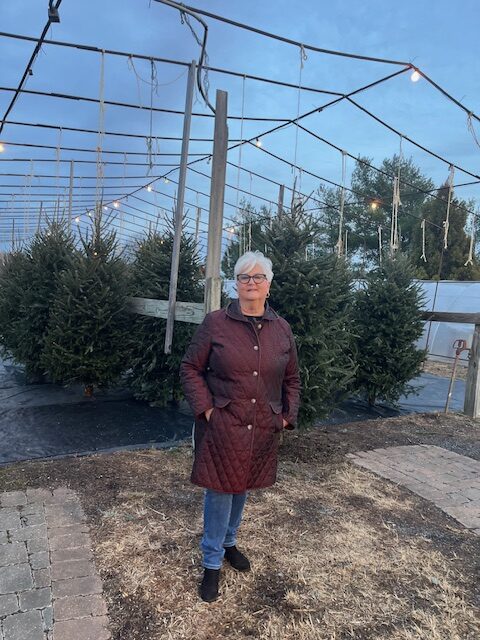 Why Are Christmas Trees So Scarce and Expensive This Year