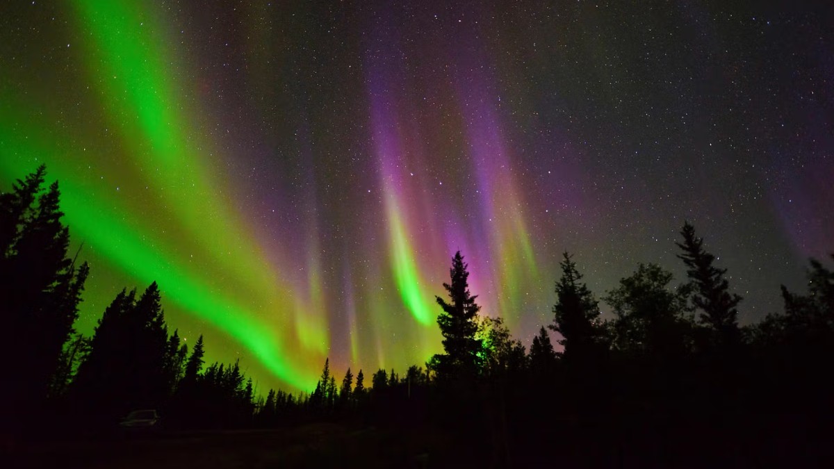Alberta, Canada (Wood Buffalo National Park)