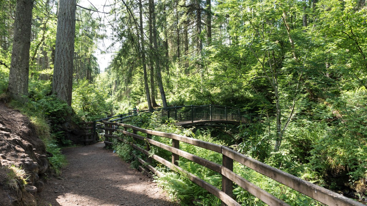 Glenariff Forest Park