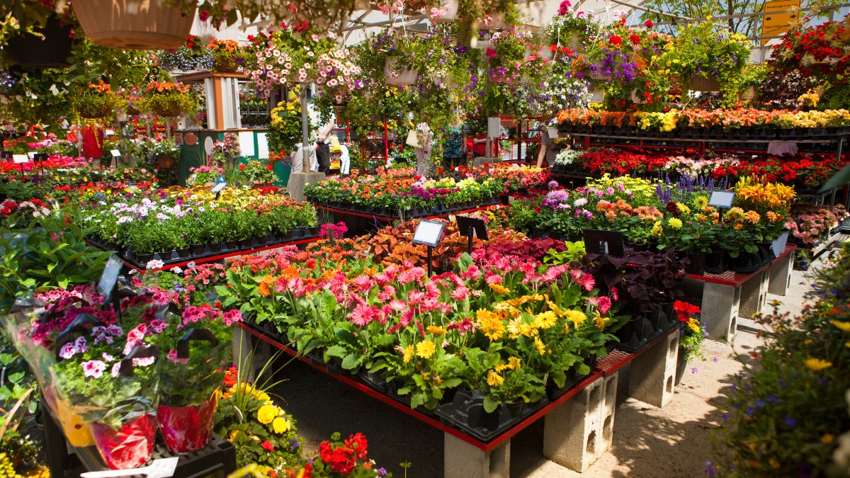 Marché Jean-Talon Market