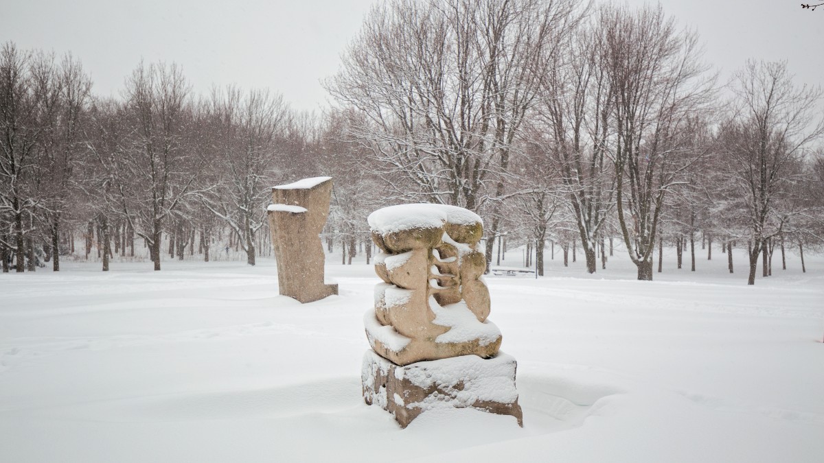 Mount Royal Parke