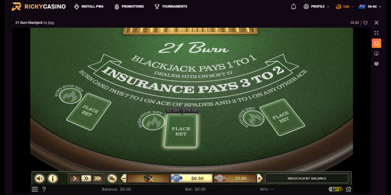 The Influence of Culture on blackjack table