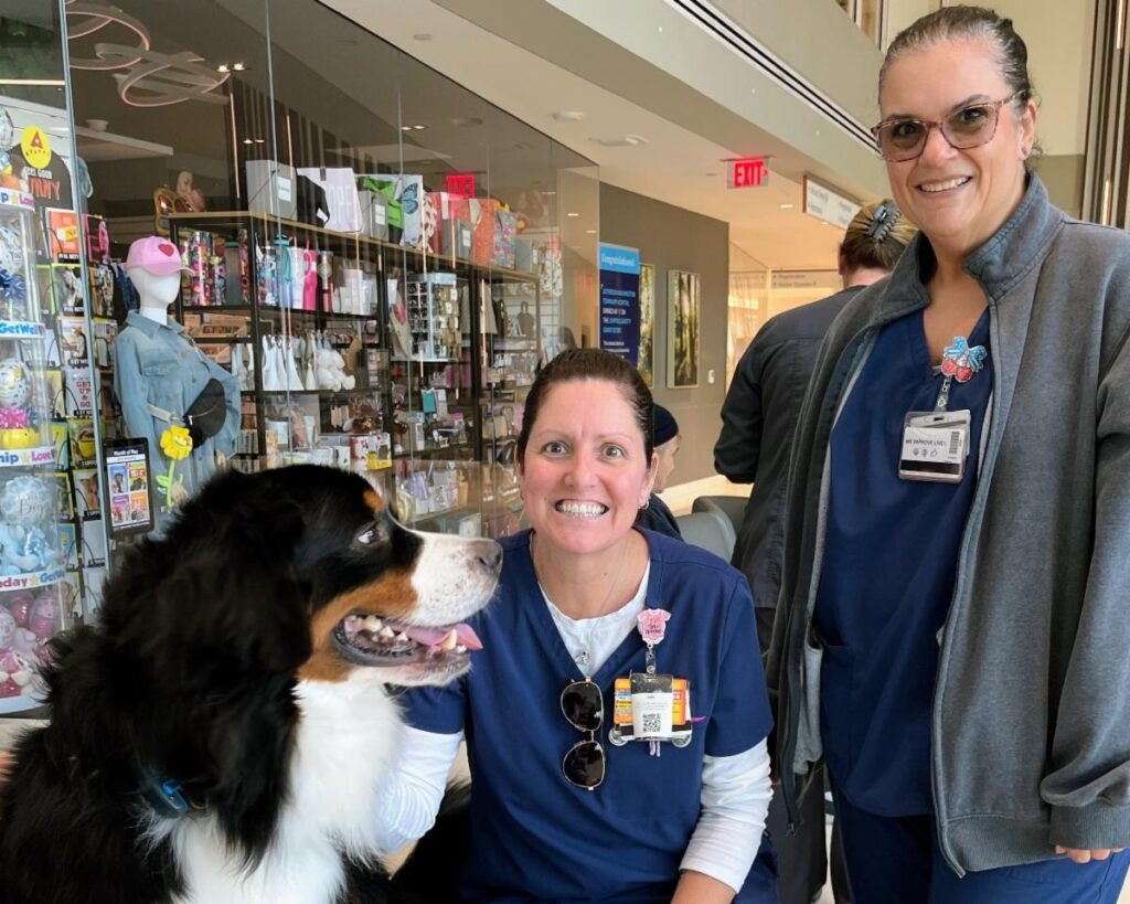 Jefferson Washington Township Hospital Welcomes Therapy Dogs for Staff Wellness