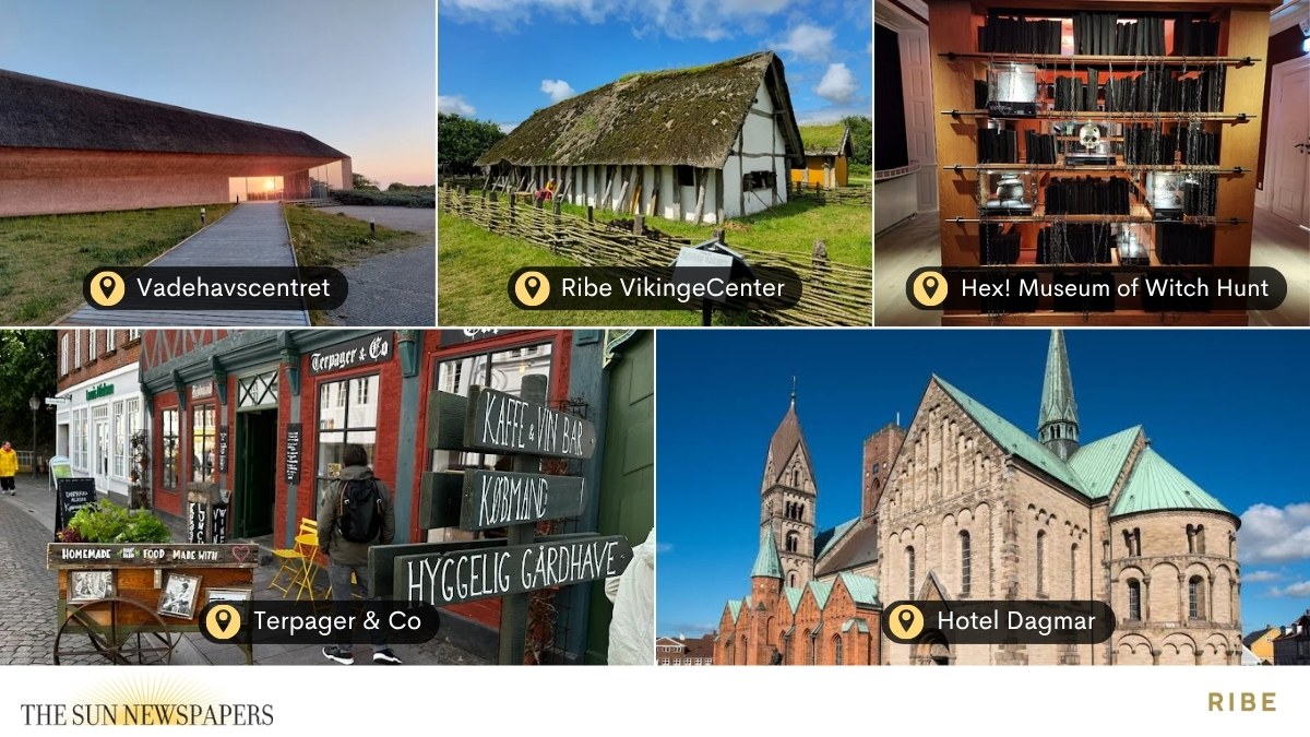 Ribe