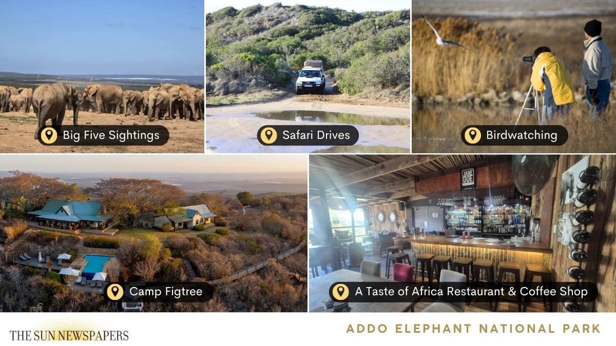 Addo Elephant National Park