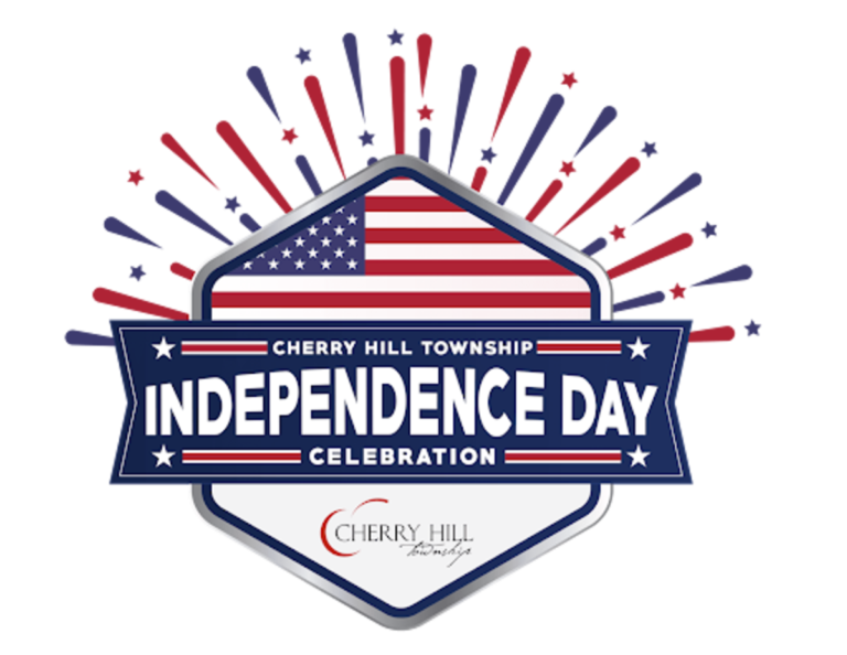 celebration of independence day in school essay