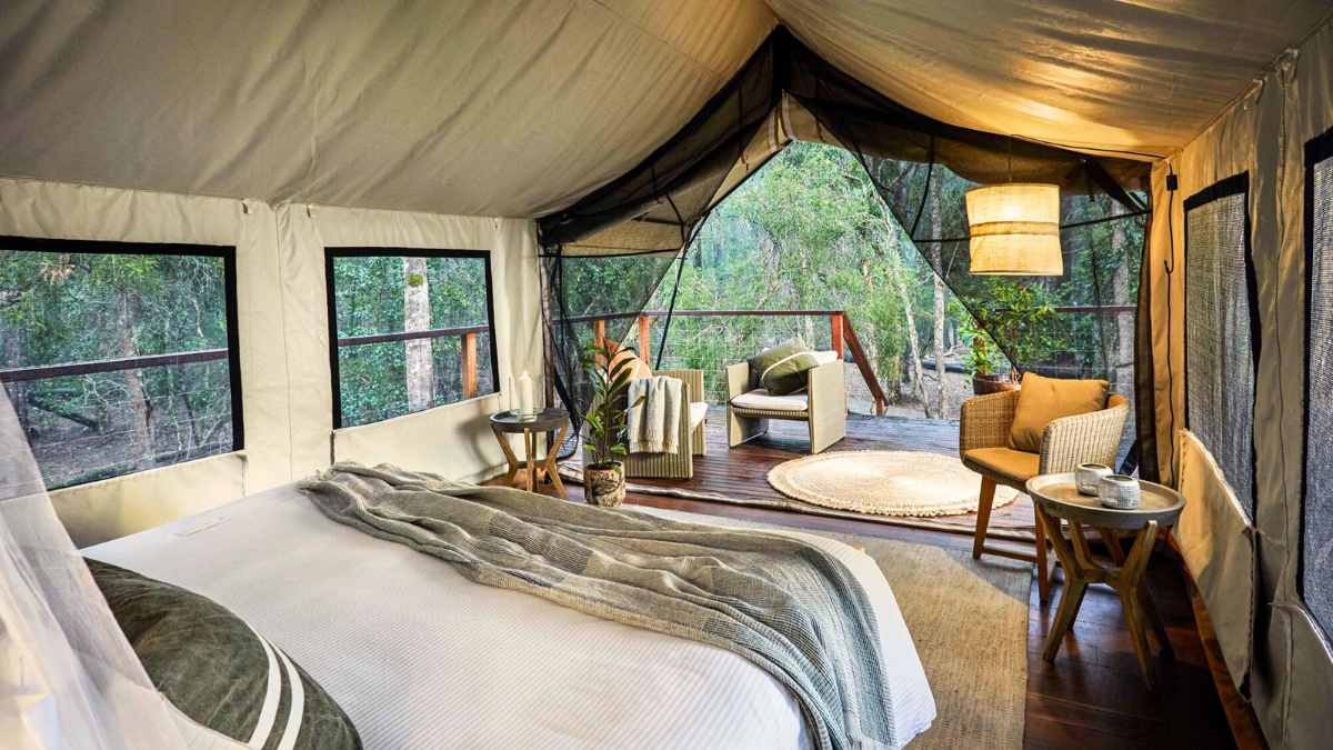 Paperbark Camp