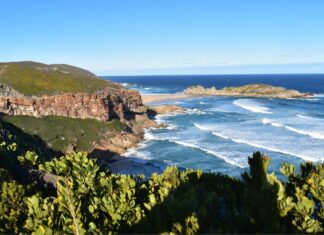 The Jersey Gypsy’s Scenic Drive Through the Garden Route, South Africa Garden Route South Africa Road Trip