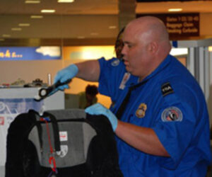 ICE Agents to Assist at Airports as TSA Staffing Shortages Grow